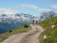The best Dolomiti di Brenta panorama going to Val Nana Monte Peller